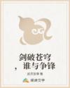 剑破苍穹，谁与争锋