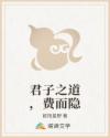 君子之道,费而隐