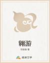翱游