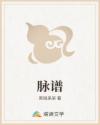 脉谱
