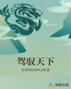 驾驭天下