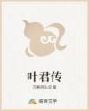 叶君传