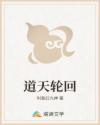 道天轮回