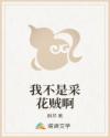我不是采花贼啊