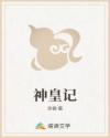 神皇记