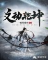 文动乾坤