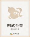 明武至尊