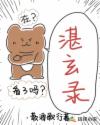 湛玄录