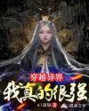 穿越异界:我真的很强