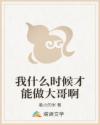 我什么时候才能做大哥啊