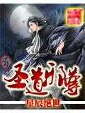 圣道邪尊
