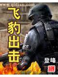 飞豹出击
